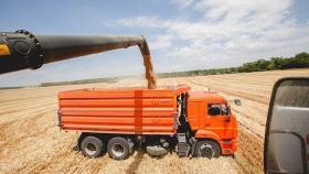 Экспортная пошлина на зерно в РФ с июня выросла в два раза